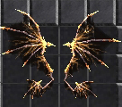 WING OF STORM